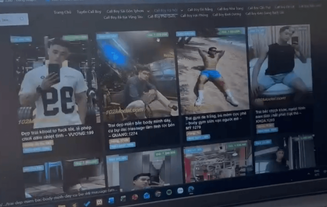 Trang web sử dụng để hoạt động môi giới mại dâm.