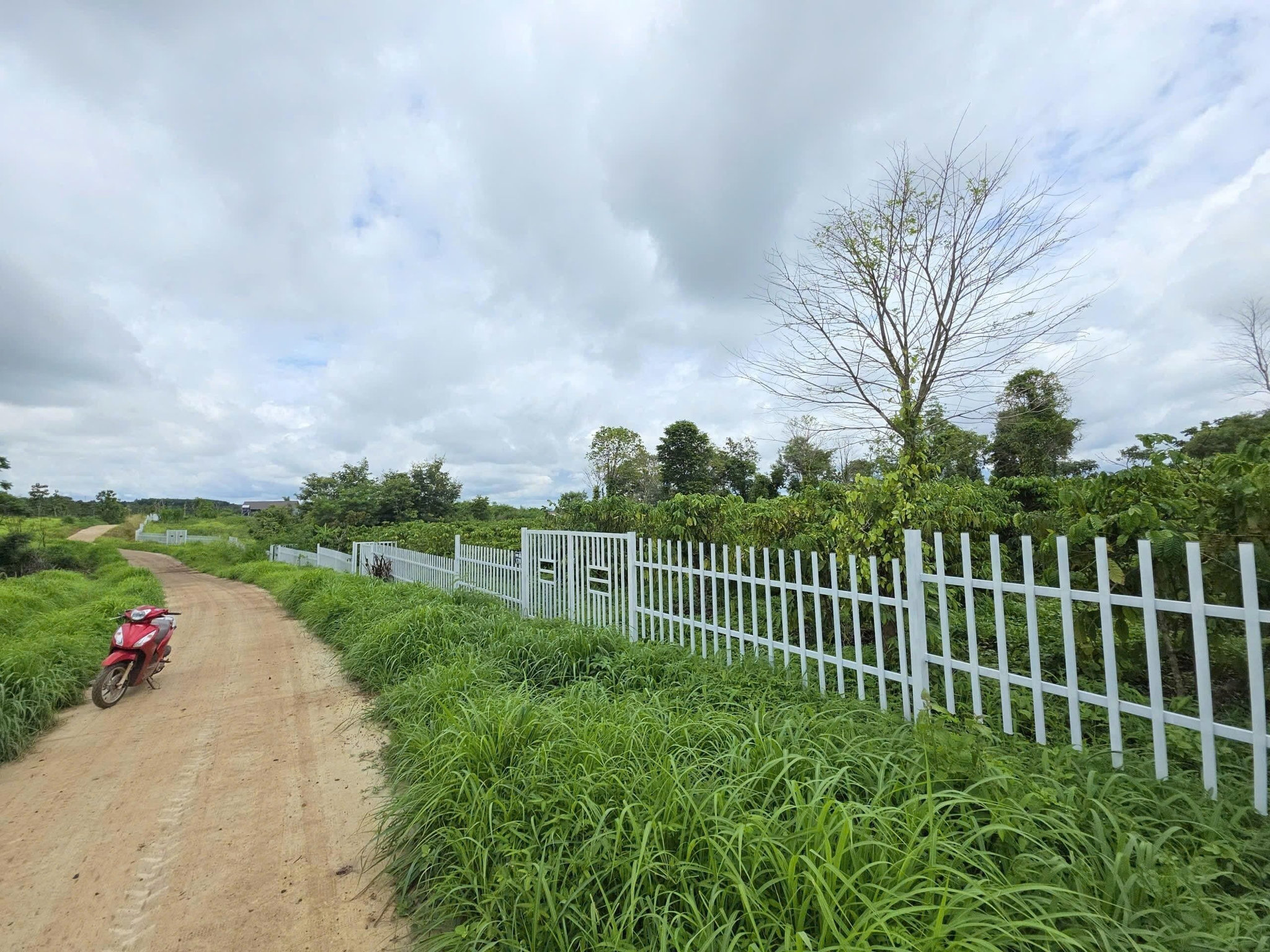 Khu đất được gọi