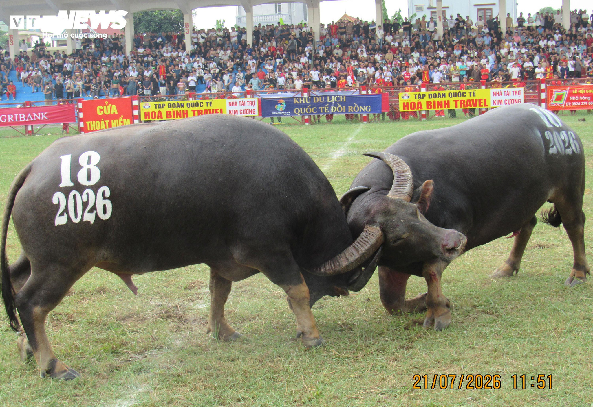 Vòng loại có 32 