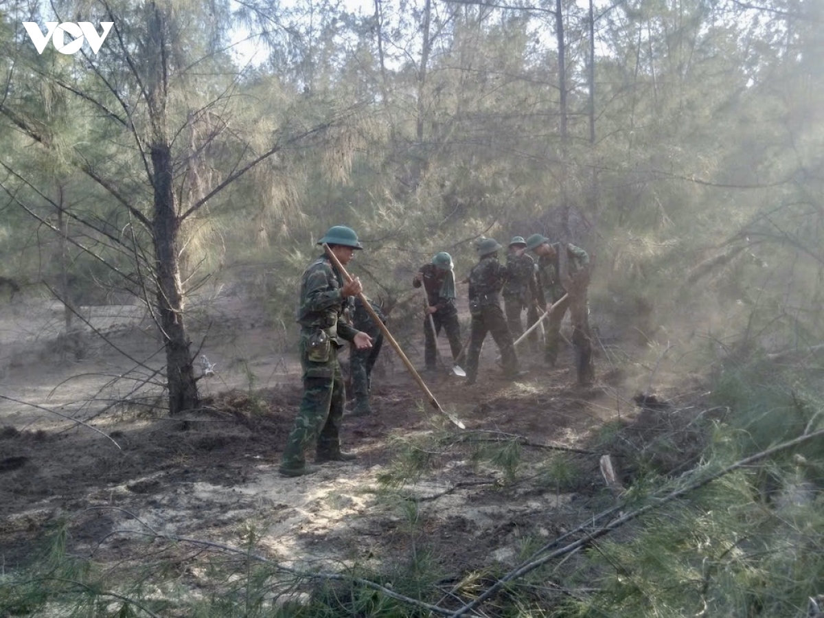 30ha rừng dương bị thiêu rụi trong vụ cháy rừng ở xã phù mỹ Đông, gia lai hình ảnh 1 30ha rung duong bi thieu rui trong vu chay rung o xa phu my Dong, gia lai hinh anh 1