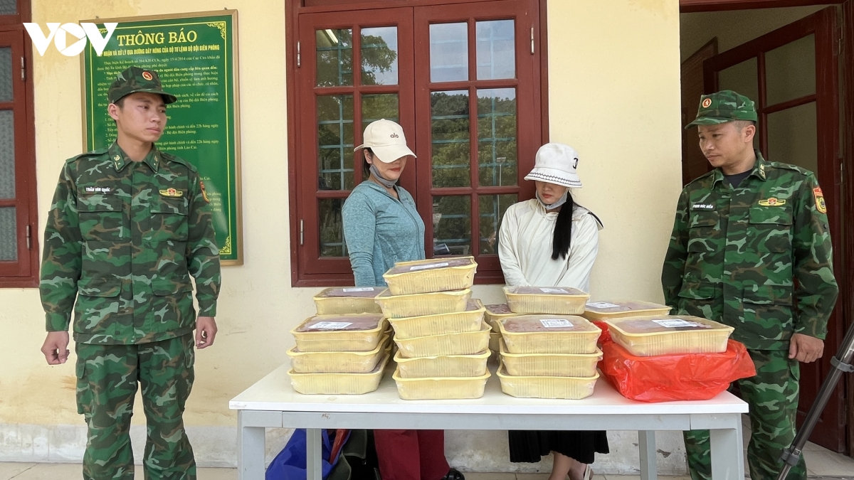 lào cai bắt giữ 2 vụ vận chuyển lậu tôm hùm đất, bốc mùi hư hỏng hình ảnh 1 lao cai bat giu 2 vu van chuyen lau tom hum dat, boc mui hu hong hinh anh 1