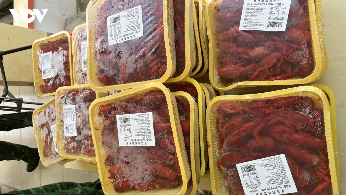 lào cai bắt giữ 2 vụ vận chuyển lậu tôm hùm đất, bốc mùi hư hỏng hình ảnh 2 lao cai bat giu 2 vu van chuyen lau tom hum dat, boc mui hu hong hinh anh 2
