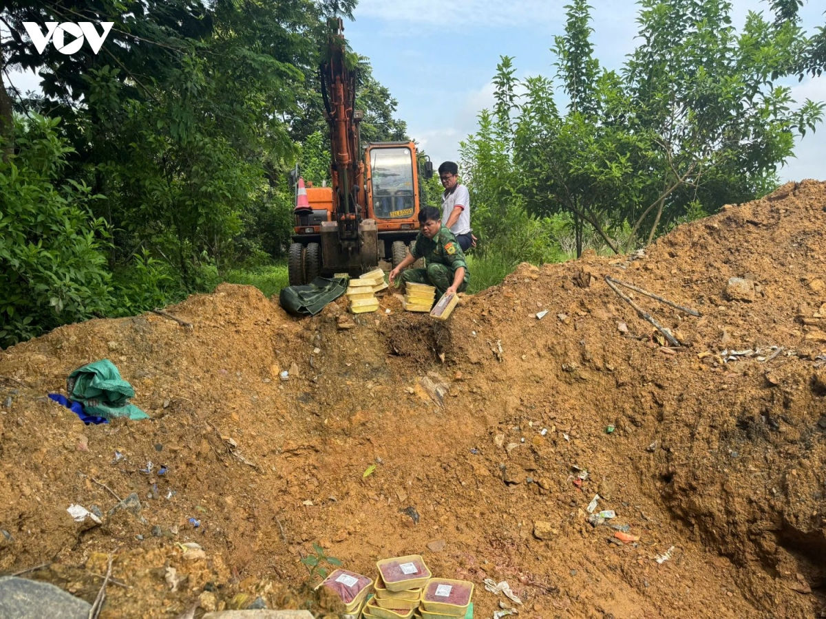lào cai bắt giữ 2 vụ vận chuyển lậu tôm hùm đất, bốc mùi hư hỏng hình ảnh 3 lao cai bat giu 2 vu van chuyen lau tom hum dat, boc mui hu hong hinh anh 3