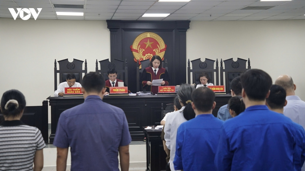 xet xu nguyen nang manh cung dong pham vu 100 tan thuc pham chuc nang gia hinh anh 2