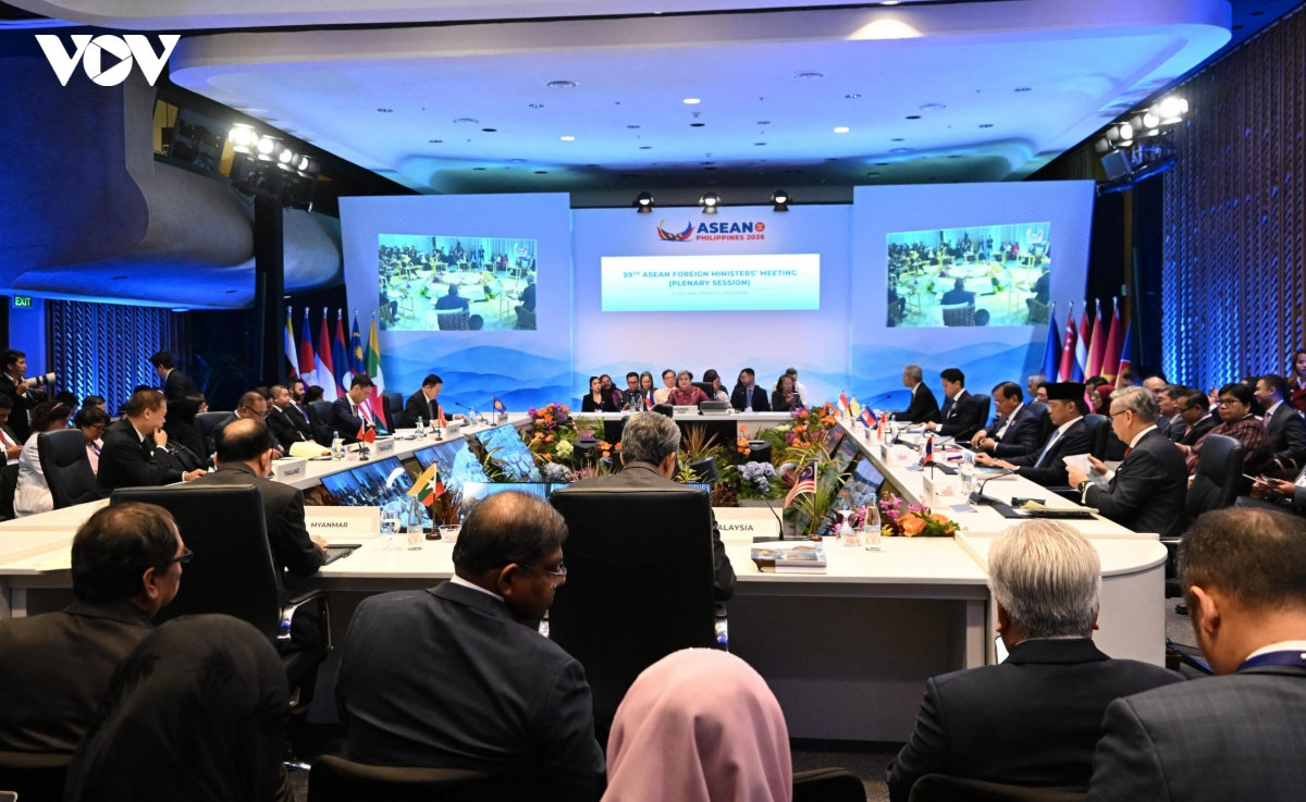 viet nam dong hanh va lon manh cung asean hinh anh 2