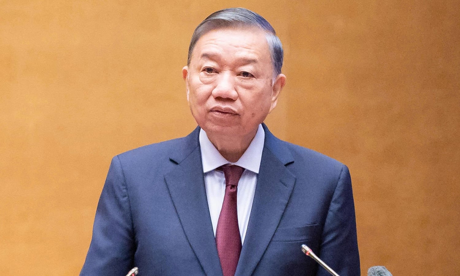Tổng Bí thư, Chủ tịch nước Tô Lâm.