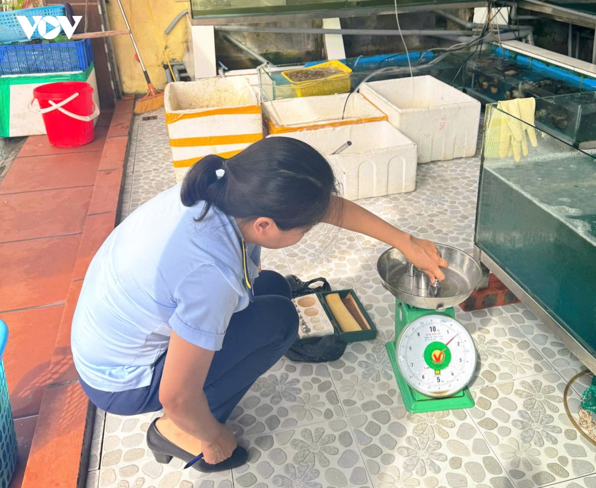 quảng ninh siết chặt xử lý sai phạm, giữ vững uy tín điểm đến mùa cao điểm du lịch hình ảnh 2 quang ninh siet chat xu ly sai pham, giu vung uy tin diem den mua cao diem du lich hinh anh 2