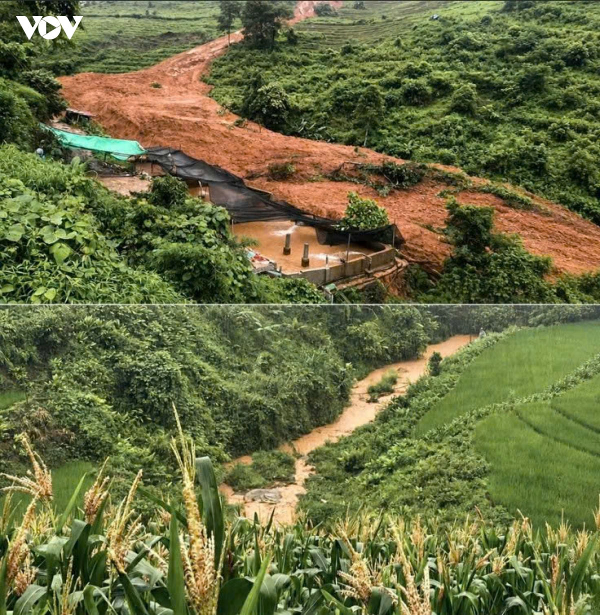 mưa lớn gây ngập lụt diện rộng, lào cai khẩn trương sơ tán 18 hộ dân trong đêm hình ảnh 1 mua lon gay ngap lut dien rong, lao cai khan truong so tan 18 ho dan trong dem hinh anh 1