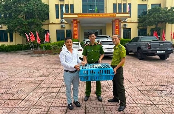 người dân tự nguyện giao nộp cá thể kỳ tôm quý hiếm cho công an hình ảnh 1 nguoi dan tu nguyen giao nop ca the ky tom quy hiem cho cong an hinh anh 1