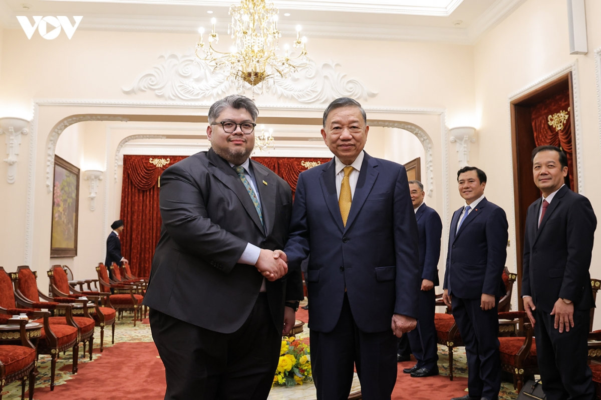 tổng bí thư, chủ tịch nước tô lâm tiếp Đại sứ, Đại biện các nước asean tại hà nội hình ảnh 6 tong bi thu, chu tich nuoc to lam tiep Dai su, Dai bien cac nuoc asean tai ha noi hinh anh 6