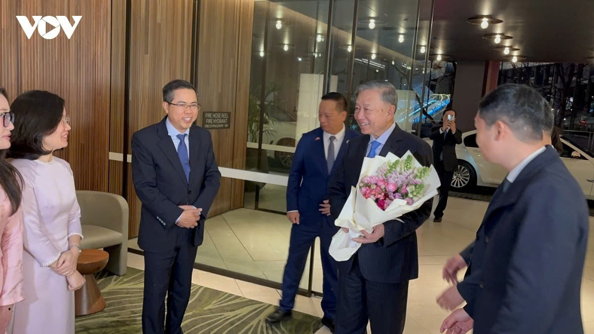 Cán bộ, nhân viên Đại sứ quán Việt Nam tại Australia đón Tổng Bí thư, Chủ tịch nước Tô Lâm.