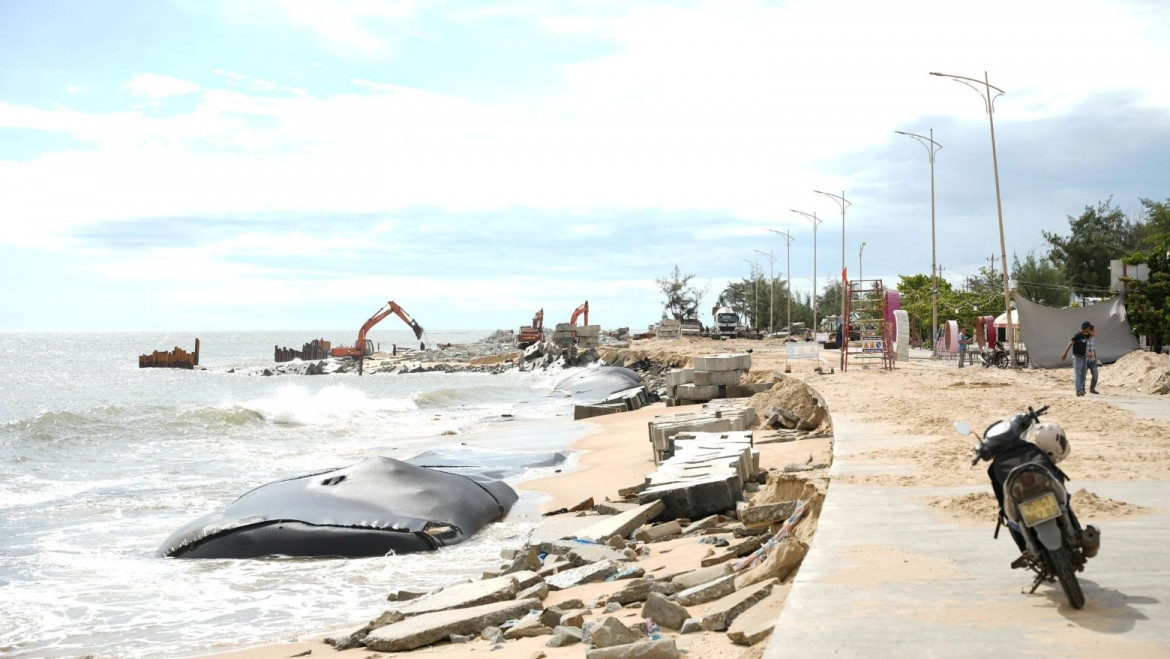 huế khảo sát du lịch đường thủy, phương án thoát lũ hình ảnh 2 hue khao sat du lich duong thuy, phuong an thoat lu hinh anh 2