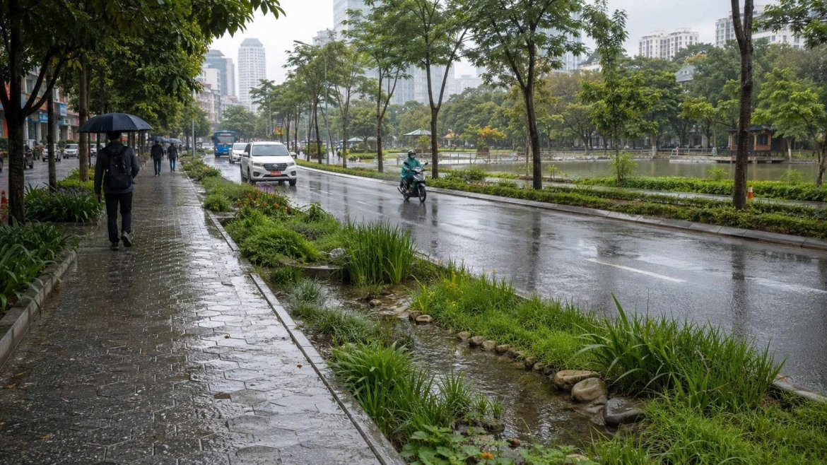 thành phố bọt biển giải pháp thích ứng hay cuộc đua với bê tông hóa hình ảnh 2 thanh pho bot bien giai phap thich ung hay cuoc dua voi be tong hoa hinh anh 2