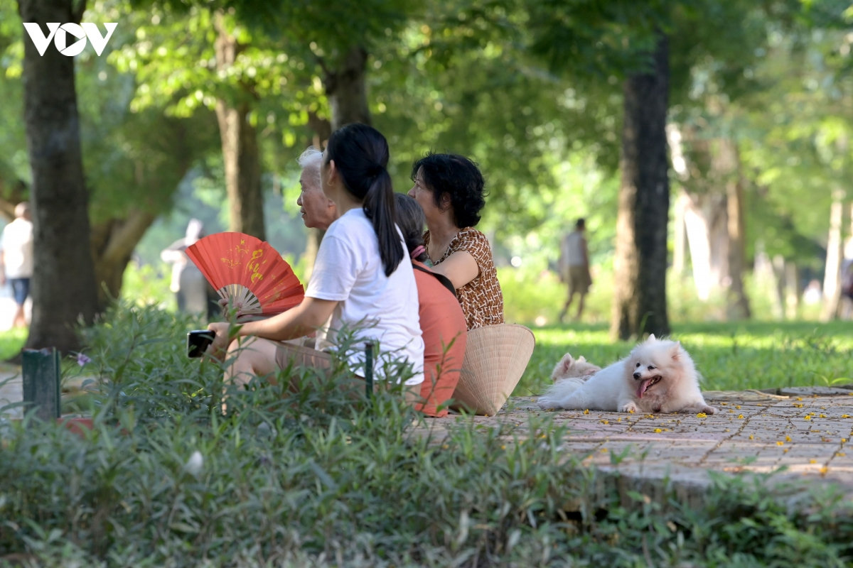 quy dinh phat tien trieu, nhieu nguoi van dat cho tha rong ra noi cong cong hinh anh 4