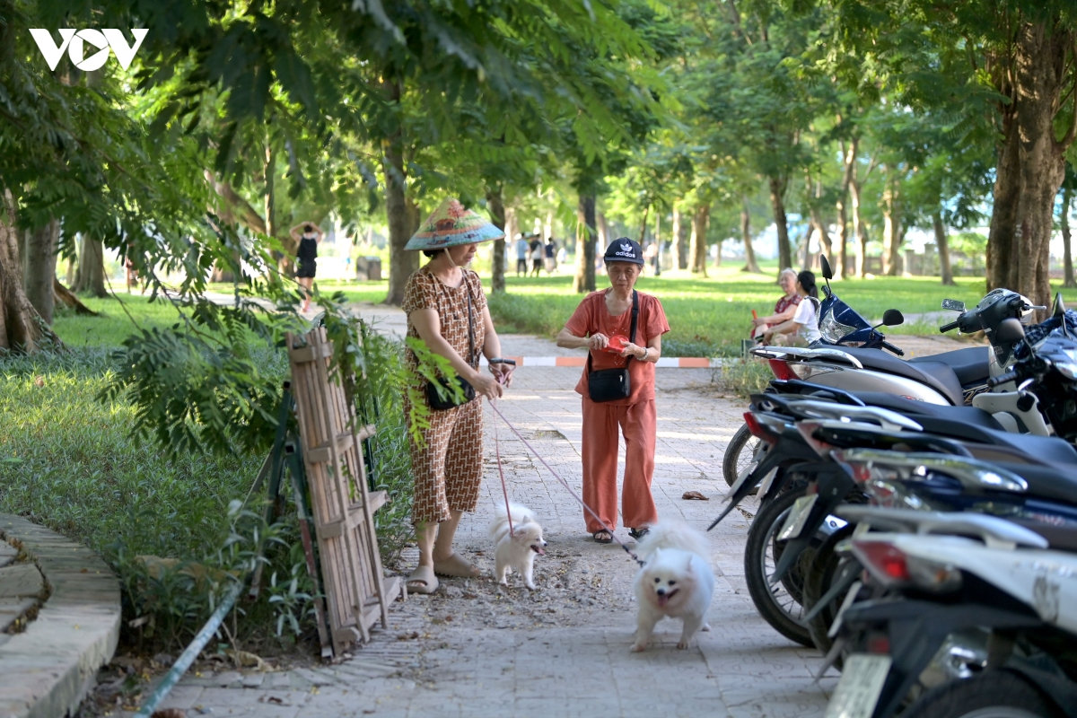 quy dinh phat tien trieu, nhieu nguoi van dat cho tha rong ra noi cong cong hinh anh 2