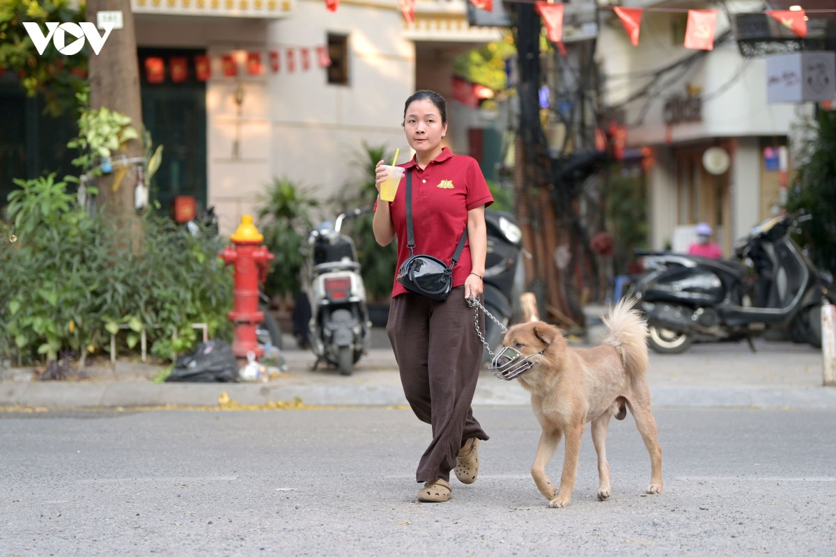 quy dinh phat tien trieu, nhieu nguoi van dat cho tha rong ra noi cong cong hinh anh 11