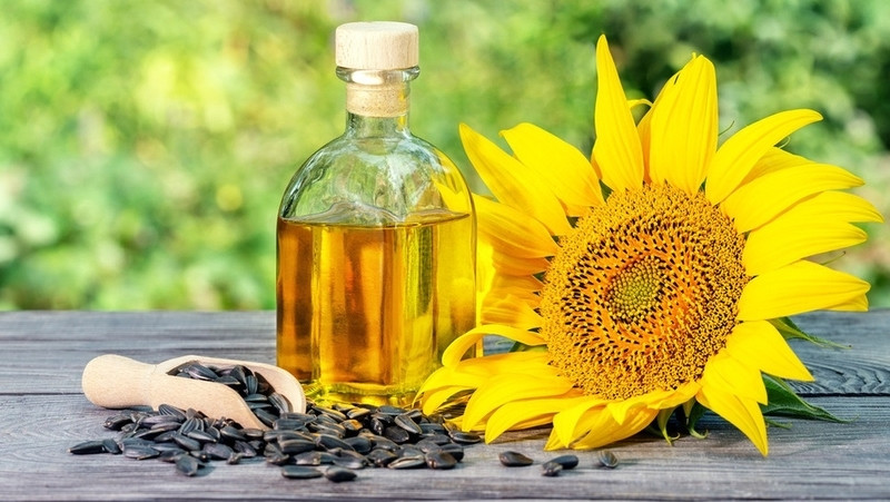 dầu hướng dương có gì đặc biệt mà được nhiều gia đình lựa chọn hình ảnh 1 dau huong duong co gi dac biet ma duoc nhieu gia dinh lua chon hinh anh 1