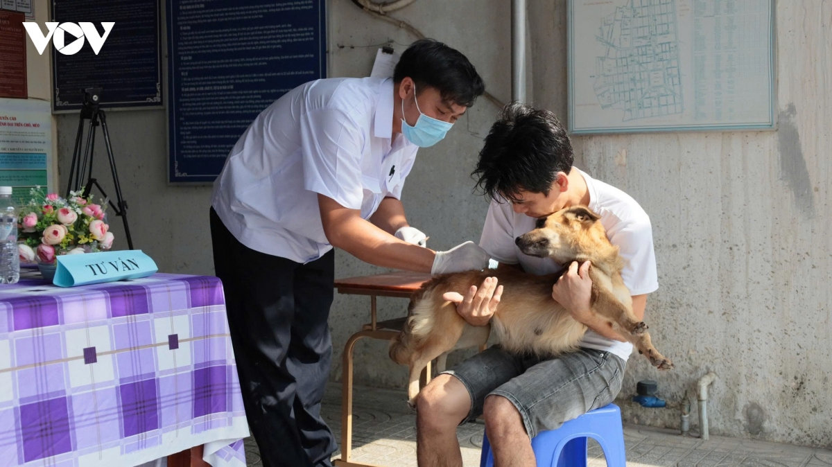 tay ninh ghi nhan 9 nguoi tu vong do benh dai hinh anh 2