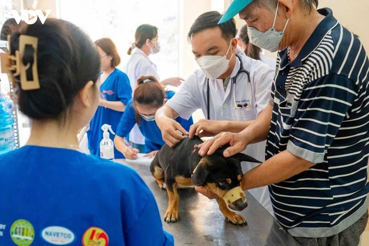 tay ninh ghi nhan 9 nguoi tu vong do benh dai hinh anh 1