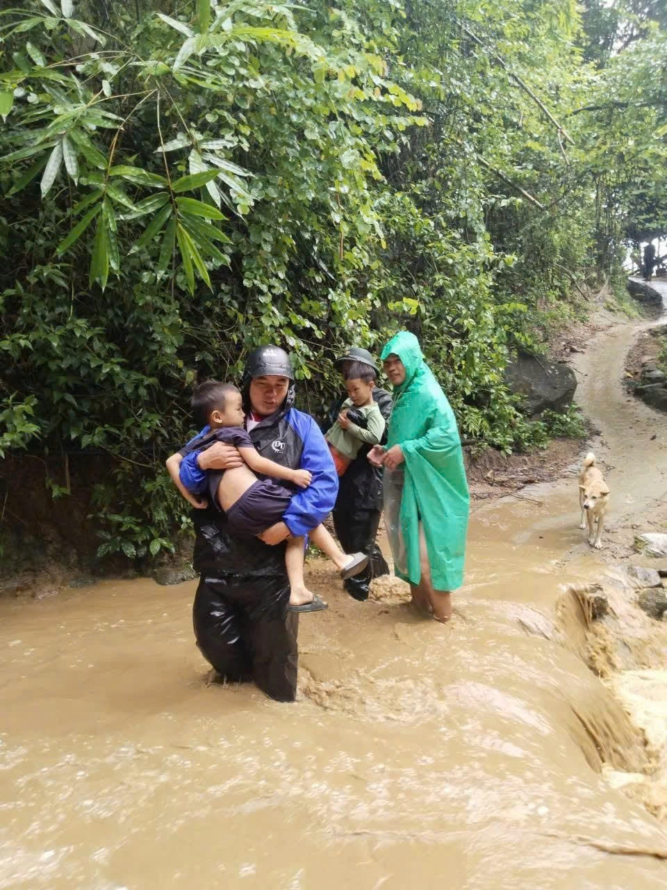 bộ đội biên phòng thanh hóa khẩn trương di dời dân khỏi vùng sạt lở hình ảnh 3 bo doi bien phong thanh hoa khan truong di doi dan khoi vung sat lo hinh anh 3
