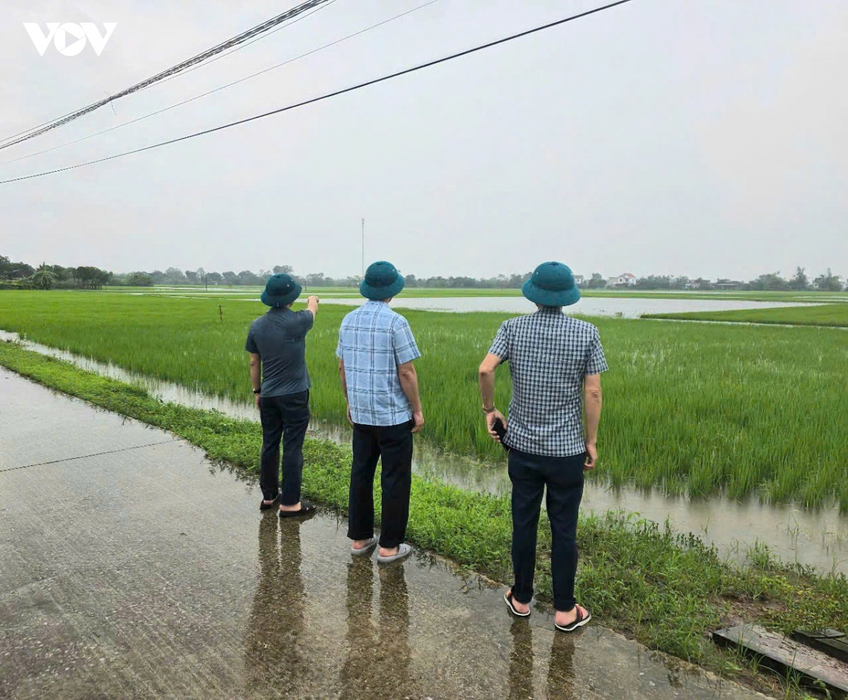 bão số 4 khiến 3.667 ha lúa bị ngập, hưng yên vận hành 126 trạm bơm tiêu phòng úng hình ảnh 1 bao so 4 khien 3.667 ha lua bi ngap, hung yen van hanh 126 tram bom tieu phong ung hinh anh 1