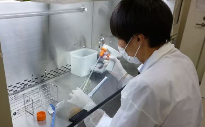 Một nhà nghiên cứu đang làm việc tại phòng thí nghiệm của Oncolys BioPharma. (Ảnh: asia.nikkei.com)