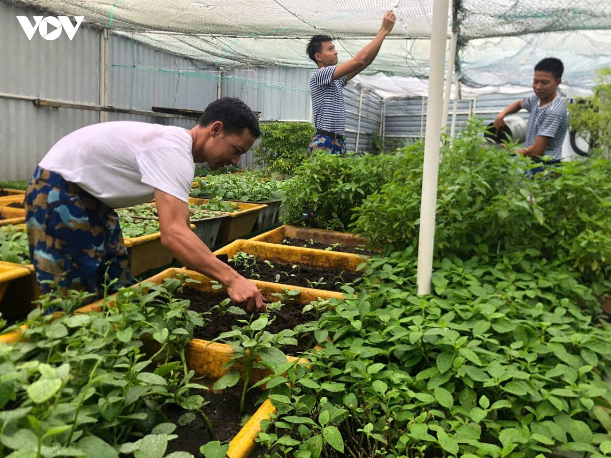 cán bộ, chiến sĩ thành kính tri ân các anh hùng liệt sĩ nhân quốc khánh 2 9 hình ảnh 7 can bo, chien si thanh kinh tri an cac anh hung liet si nhan quoc khanh 2 9 hinh anh 7