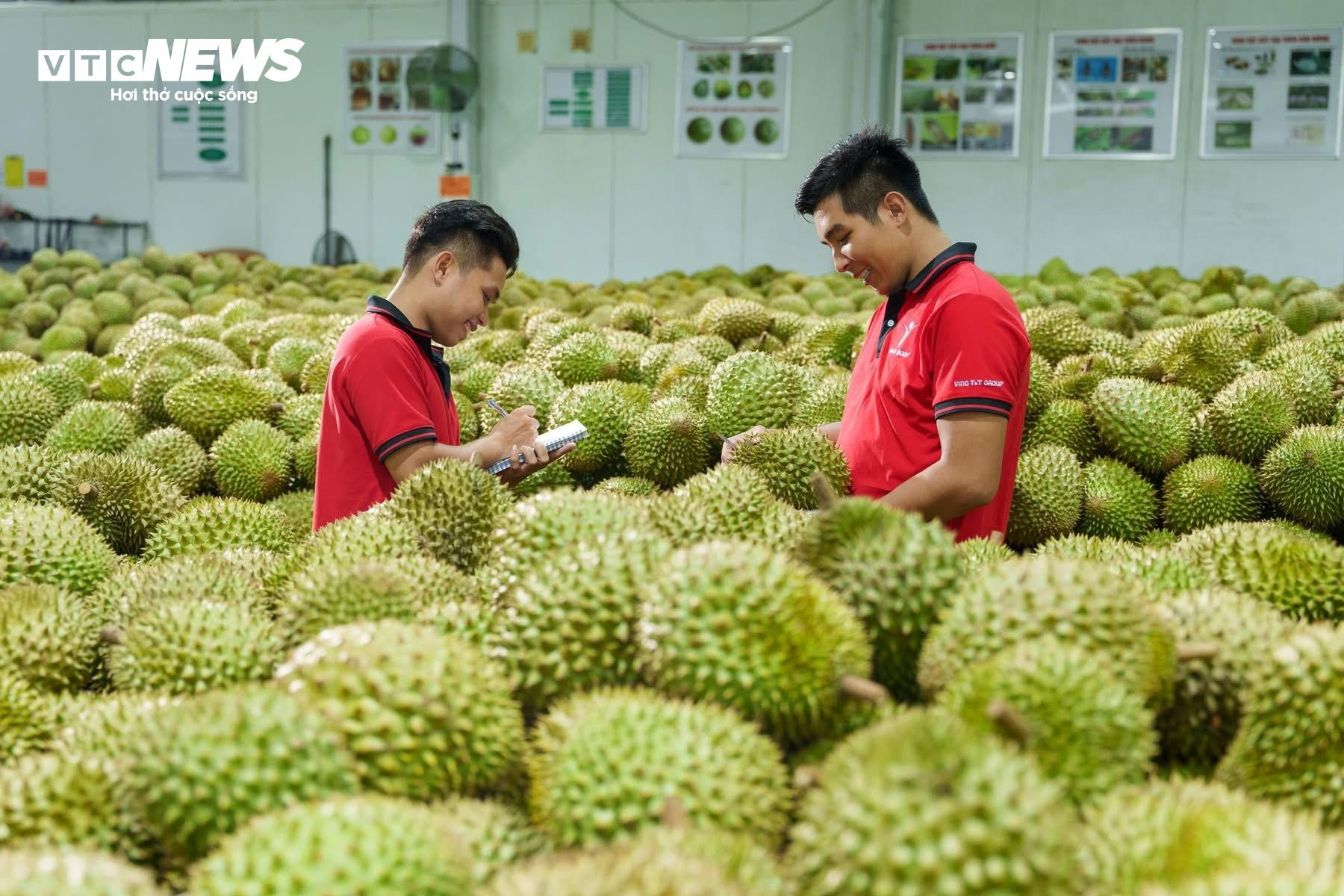 Sầu riêng có thể mang về 4 tỷ USD xuất khẩu trong năm 2026.