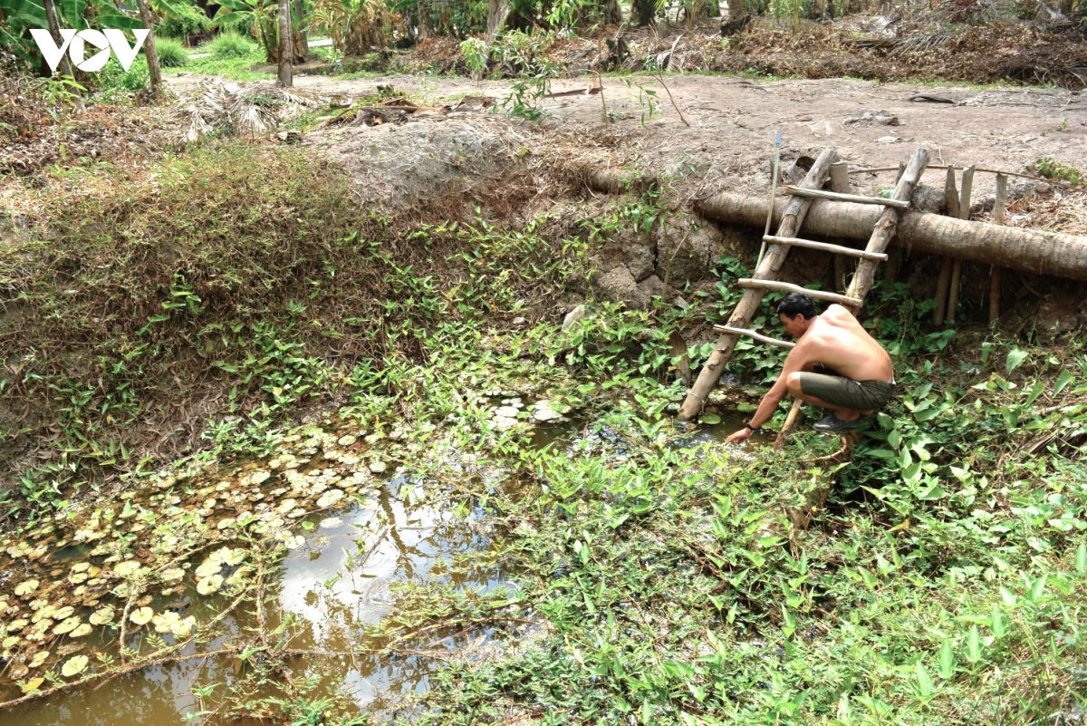 el nino đến, khoảng 13.700 hộ dân ở cà mau thiếu nước hình ảnh 1 el nino den, khoang 13.700 ho dan o ca mau thieu nuoc hinh anh 1
