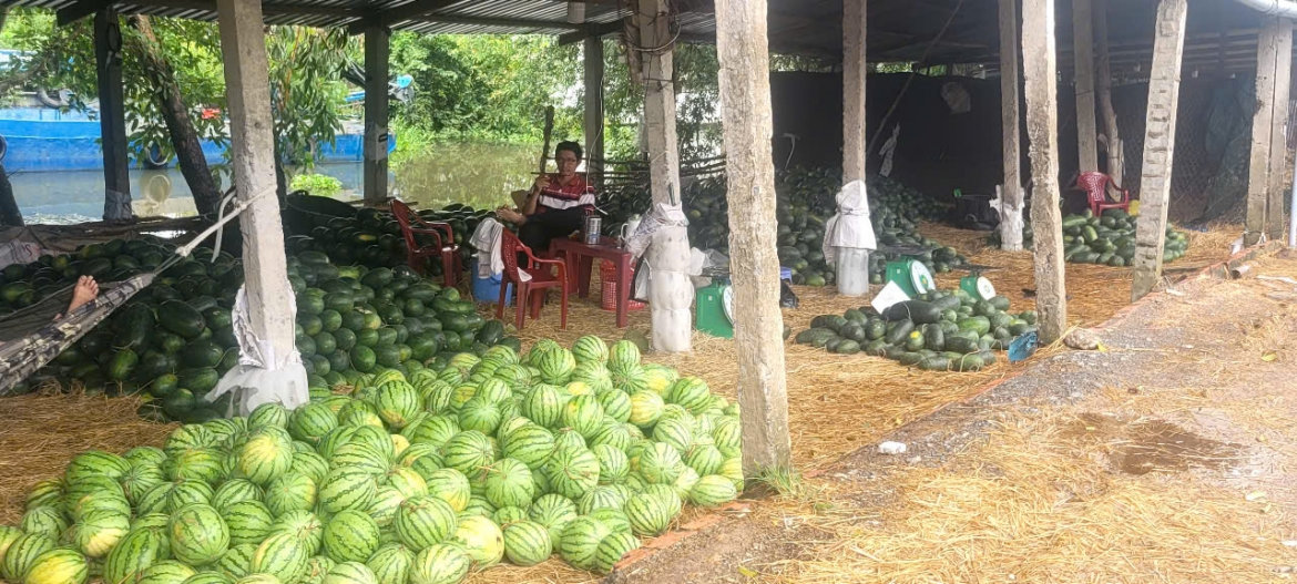 xã vùng sâu Đồng tháp vươn mình sau khi thực hiện chính quyền địa phương 2 cấp hình ảnh 3 xa vung sau Dong thap vuon minh sau khi thuc hien chinh quyen dia phuong 2 cap hinh anh 3
