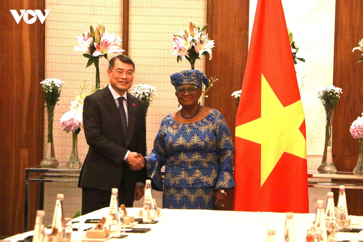 thủ tướng lê minh hưng tiếp tổng giám đốc tổ chức thương mại thế giới hình ảnh 2 thu tuong le minh hung tiep tong giam doc to chuc thuong mai the gioi hinh anh 2
