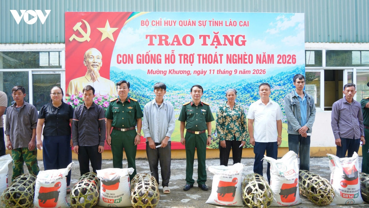 bộ chỉ huy quân sự tỉnh lào cai trao tặng cây, con giống, hỗ trợ nhân dân hình ảnh 2 bo chi huy quan su tinh lao cai trao tang cay, con giong, ho tro nhan dan hinh anh 2