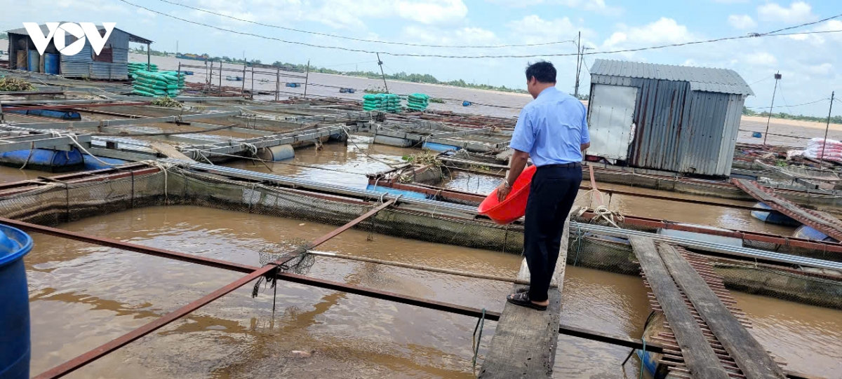 hai cha con nuôi cá bè bị điện giật rơi xuống sông mất tích ở Đồng tháp hình ảnh 1 hai cha con nuoi ca be bi dien giat roi xuong song mat tich o Dong thap hinh anh 1