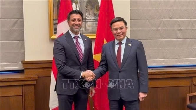 cu the hoa hop tac chien luoc viet nam - canada hinh anh 1