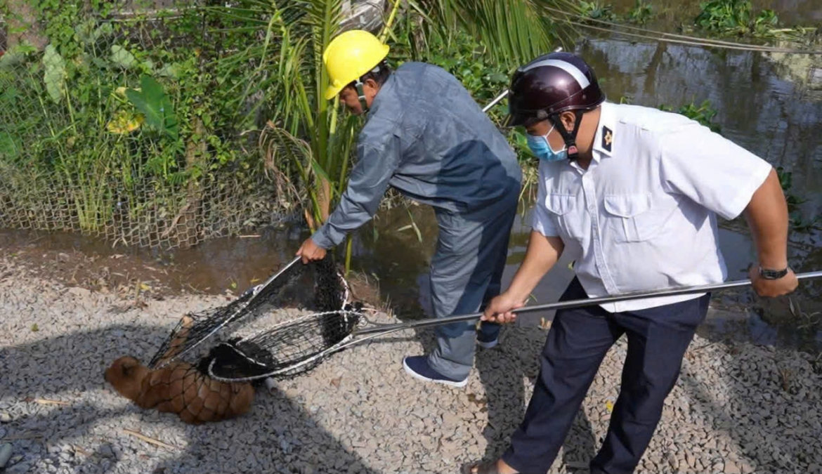 cong tac phong chong benh dai o tinh Dong thap can cong dong trach nhiem hinh anh 3
