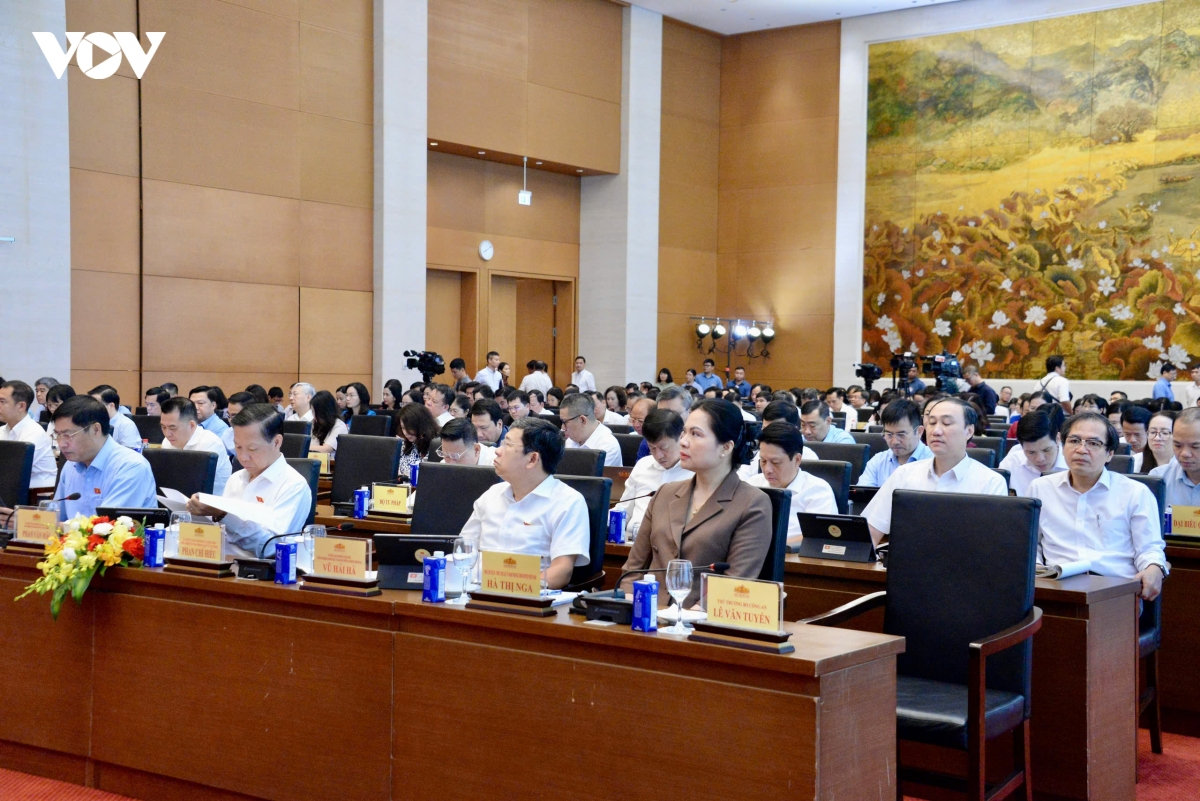 Dai bieu quoc hoi hoat dong chuyen trach thao luan ve 17 du an luat hinh anh 5