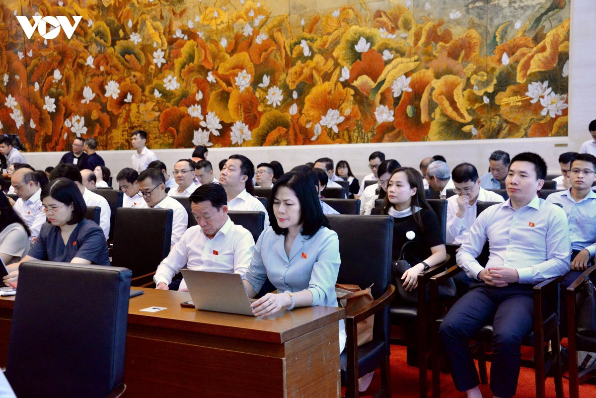Dai bieu quoc hoi hoat dong chuyen trach thao luan ve 17 du an luat hinh anh 6