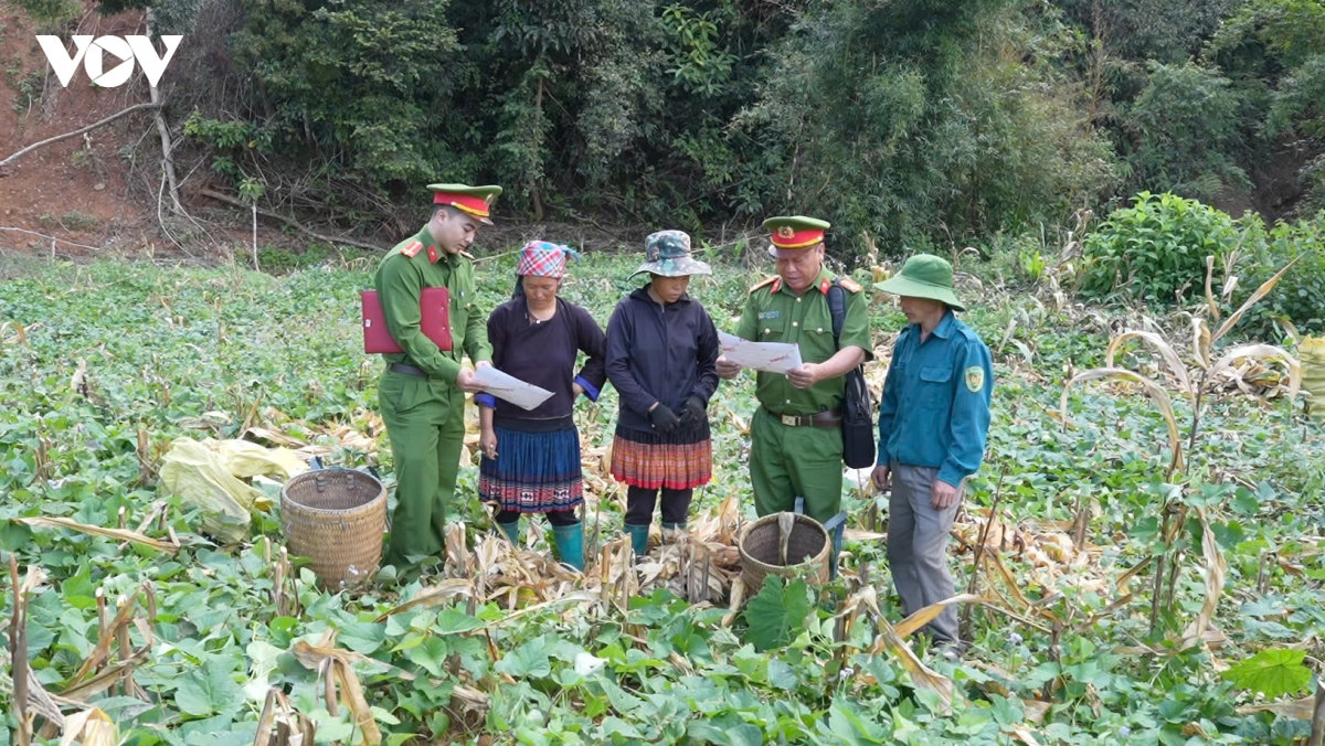 lào cai đưa vneid đến gần người dân vùng cao hình ảnh 5 lao cai dua vneid den gan nguoi dan vung cao hinh anh 5