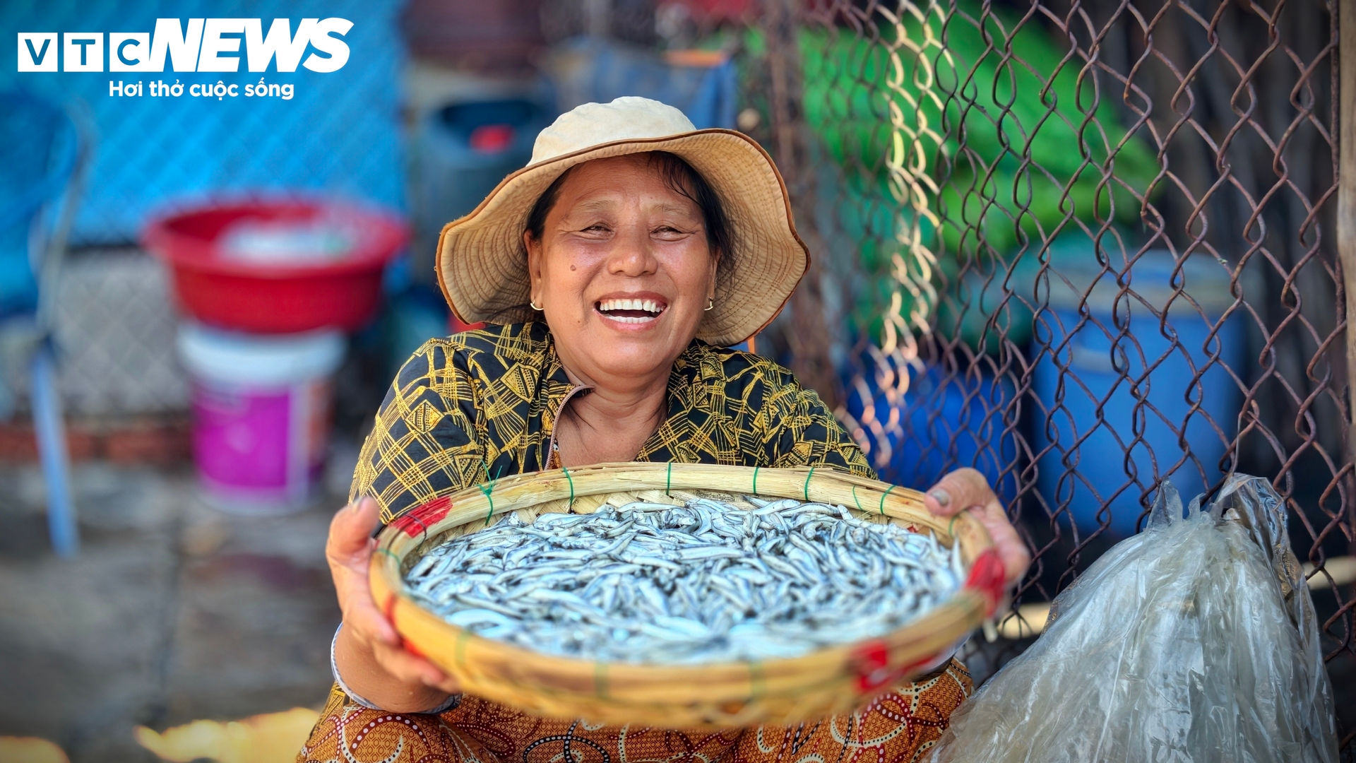 Trúng đậm luồng cá cơm dày đặc áp bờ, làng chài Gia Lai sôi động ngày đêm - 8
