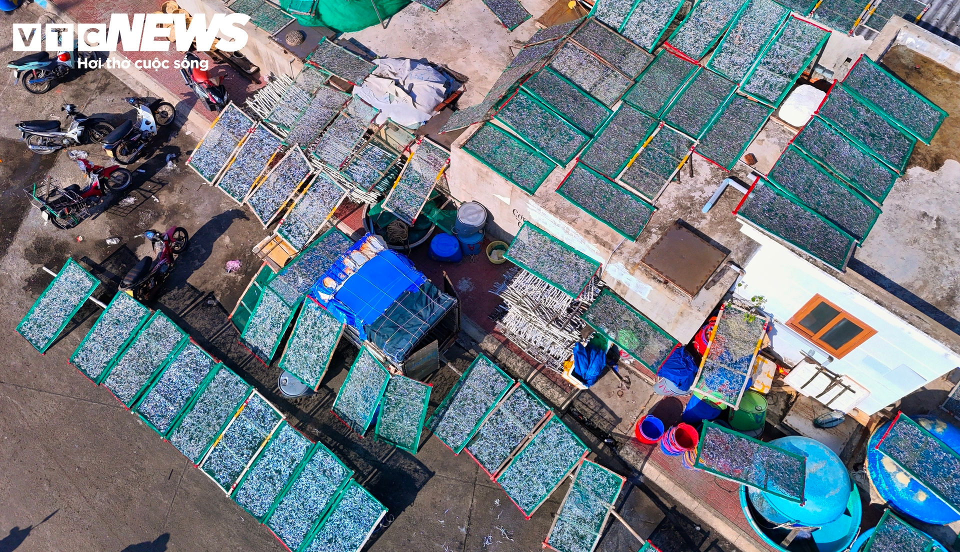 Trúng đậm luồng cá cơm dày đặc áp bờ, làng chài Gia Lai sôi động ngày đêm - 9
