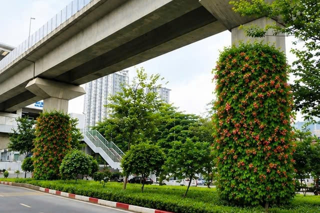 ha noi chuan bi dua cay xanh len tru cau, ham chui va nha cho xe buyt hinh anh 2