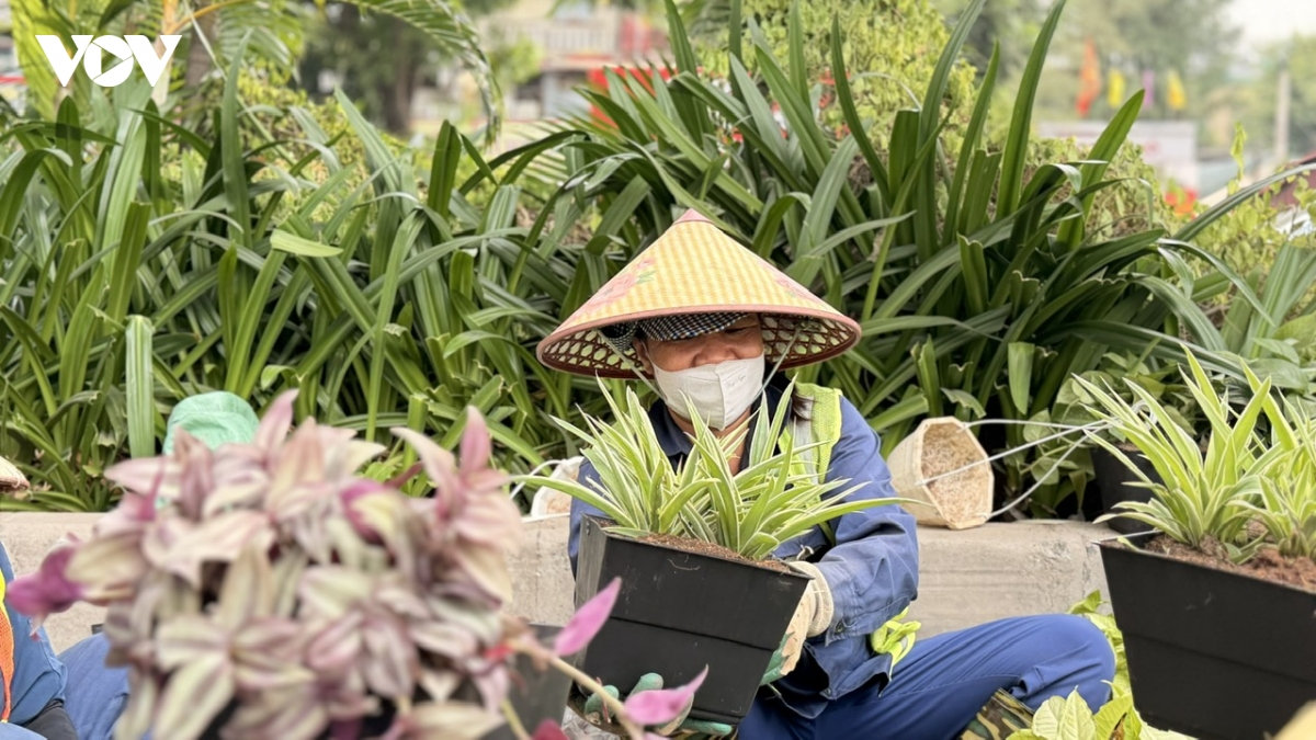 ha noi bat dau thi diem phu xanh tru cau, ham chui, nha cho xe buyt hinh anh 8