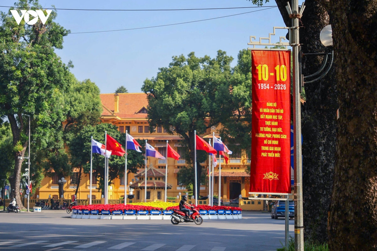 pho phuong ha noi ruc ro co hoa mung ky niem 72 nam ngay giai phong thu do hinh anh 15