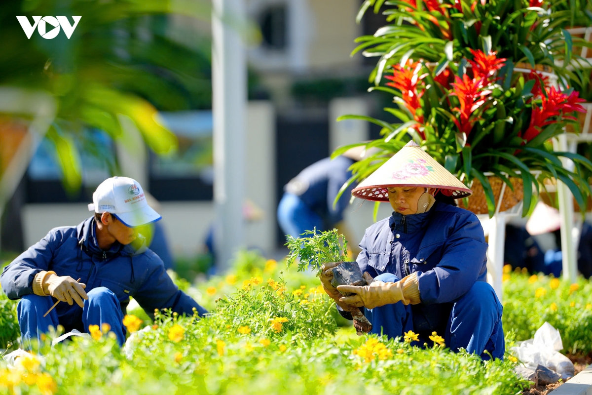 pho phuong ha noi ruc ro co hoa mung ky niem 72 nam ngay giai phong thu do hinh anh 5