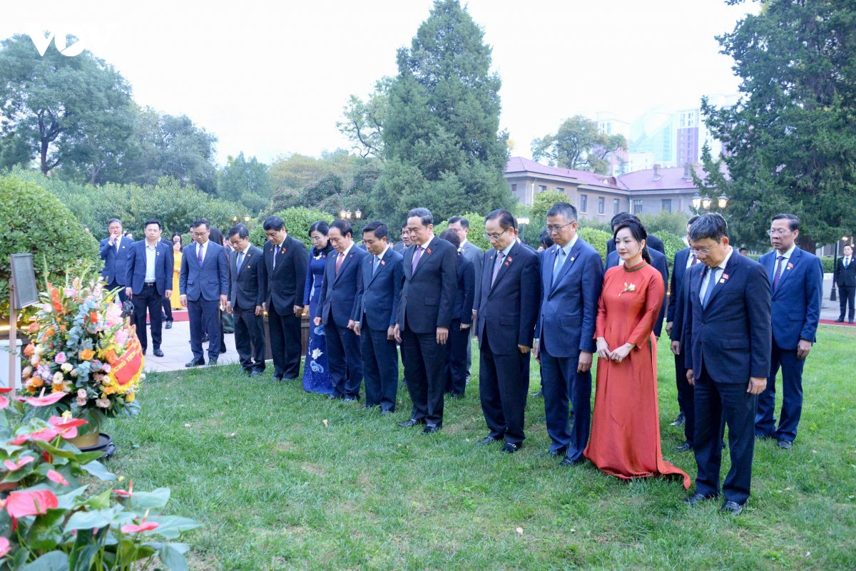 chu tich quoc hoi gap nhan vien Dai su quan, cong dong nguoi viet tai trung quoc hinh anh 7