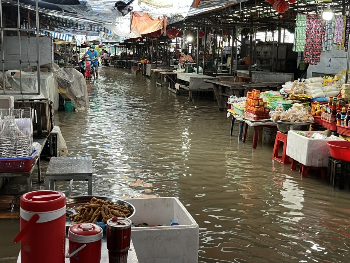 nhieu ngoi cho o Dong thap ngap sau do trieu cuong dang cao hinh anh 1