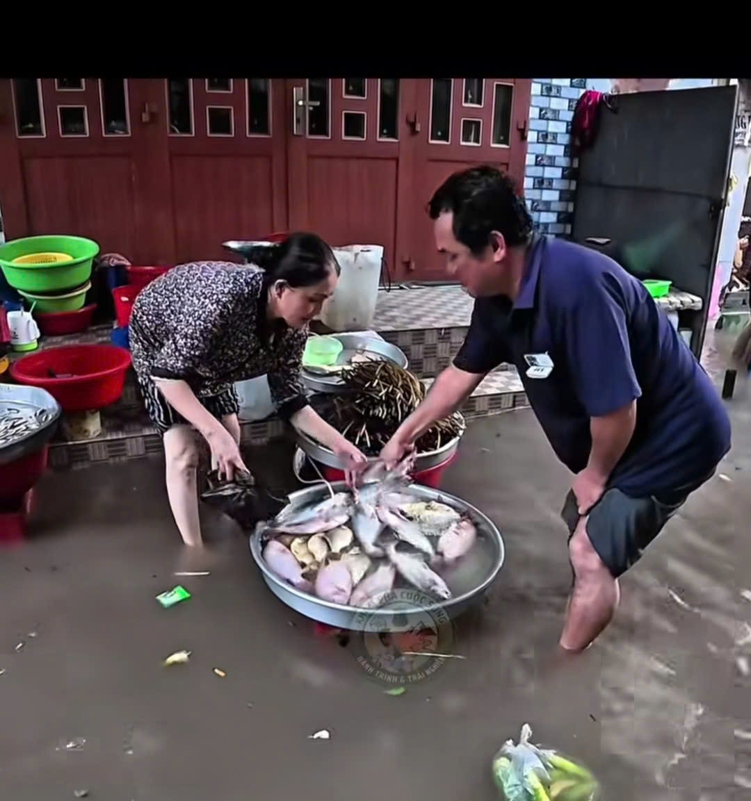 nhieu ngoi cho o Dong thap ngap sau do trieu cuong dang cao hinh anh 3
