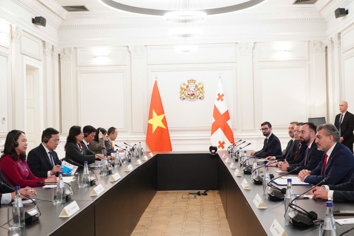 phó chủ tịch nước võ thị Ánh xuân hội kiến tổng thống georgia hình ảnh 2 pho chu tich nuoc vo thi Anh xuan hoi kien tong thong georgia hinh anh 2
