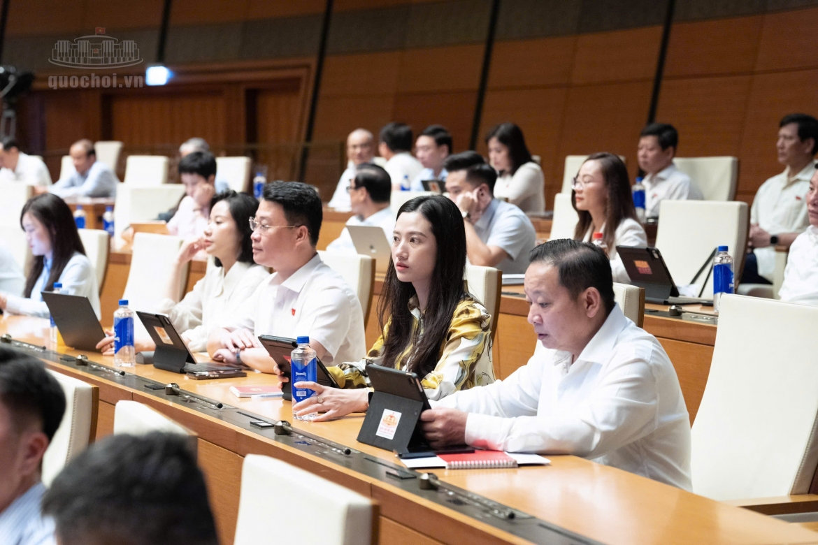 cân nhắc không cho người có hành vi bạo lực gia đình nhận con nuôi hình ảnh 3 can nhac khong cho nguoi co hanh vi bao luc gia dinh nhan con nuoi hinh anh 3