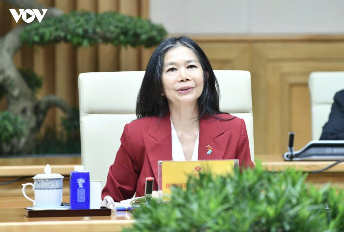 thủ tướng tiếp Điều phối viên thường trú liên hợp quốc tại việt nam hình ảnh 3 thu tuong tiep Dieu phoi vien thuong tru lien hop quoc tai viet nam hinh anh 3